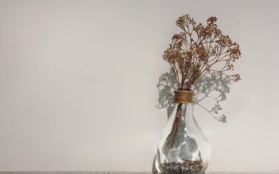 Droogbloemen van de groothandel: Voordelen en mee