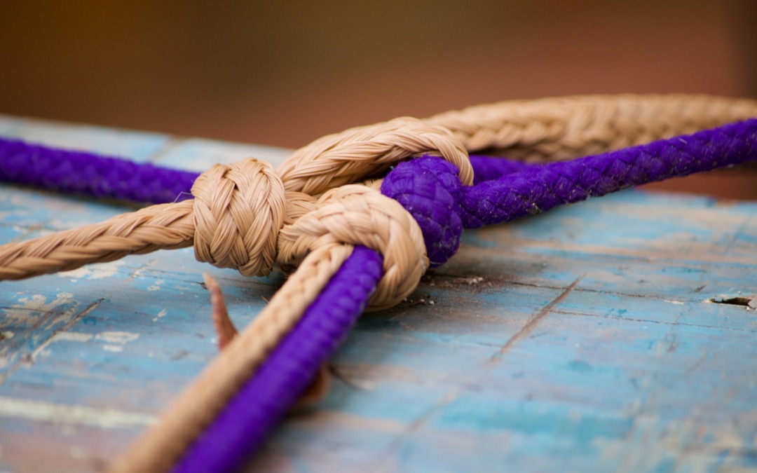 Verken de wereld van paracord: veelzijdig en praktisch